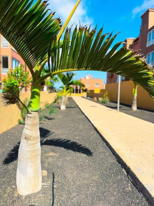 Apartamento Casa Bamboo Corralejo, Espacioso, Piscina Y Parking Экстерьер фото