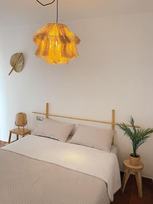 Apartamento Casa Bamboo Corralejo, Espacioso, Piscina Y Parking Экстерьер фото