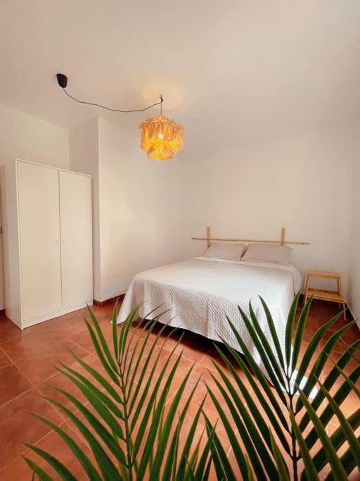 Apartamento Casa Bamboo Corralejo, Espacioso, Piscina Y Parking Экстерьер фото