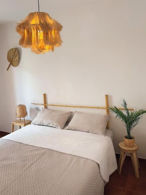 Apartamento Casa Bamboo Corralejo, Espacioso, Piscina Y Parking Экстерьер фото