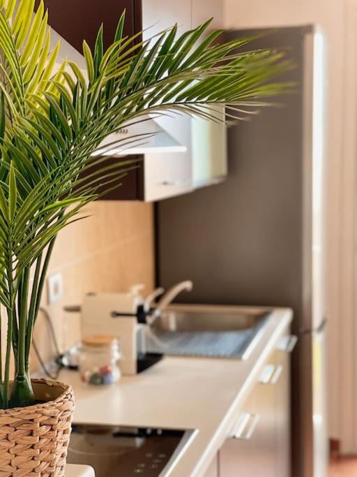Apartamento Casa Bamboo Corralejo, Espacioso, Piscina Y Parking Экстерьер фото